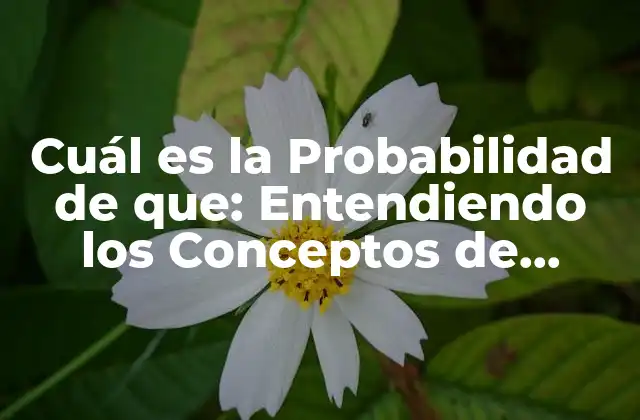 Cuál es la Probabilidad de Que: Entendiendo los Conceptos de Probabilidad