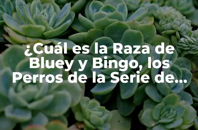 ¿cuál es la Raza de Bluey y Bingo, los Perros de la Serie de Animación?
