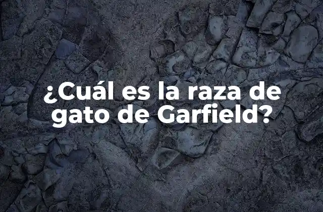 ¿cuál es la Raza de Gato de Garfield? 2 La apariencia de Garfield
