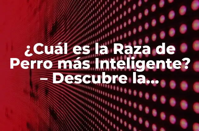 ¿cuál es la Raza de Perro Más Inteligente? – Descubre la Respuesta