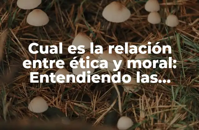 Cual es la Relación entre Ética y Moral: Entendiendo las Diferencias y Similitudes