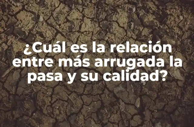 ¿cuál es la Relación entre Más Arrugada la Pasa y Su Calidad?