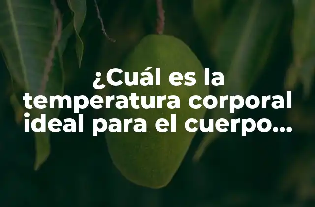 ¿cuál es la Temperatura Corporal Ideal para el Cuerpo Humano?