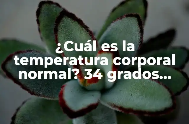 ¿cuál es la Temperatura Corporal Normal? 34 Grados Temperatura Corporal, Explicación Detallada.