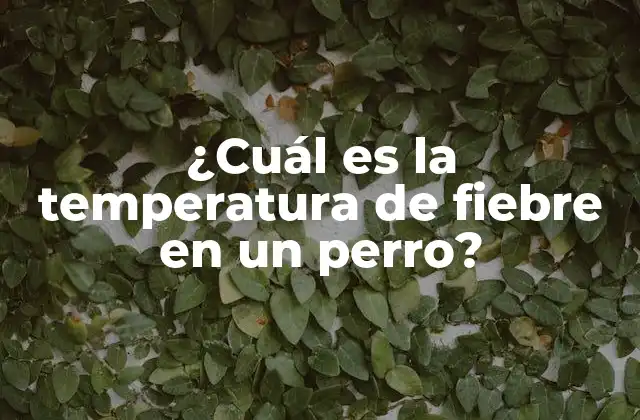 ¿cuál es la Temperatura de Fiebre en un Perro?