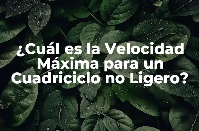 ¿cuál es la Velocidad Máxima para un Cuadriciclo No Ligero?