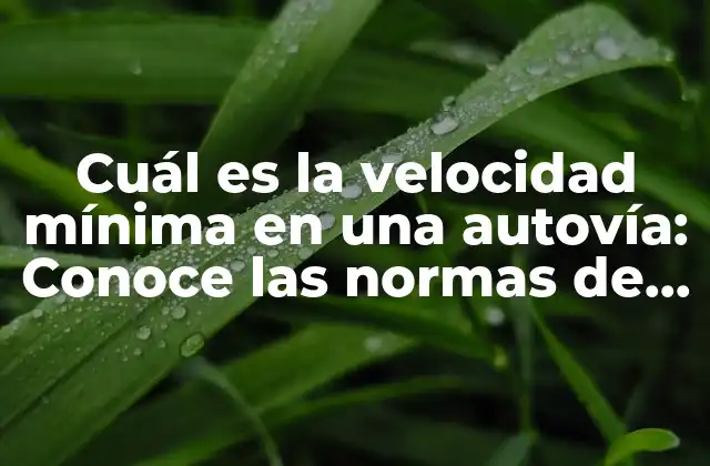 Cuál es la Velocidad Mínima en una Autovía: Conoce las Normas de Tráfico 2 La importancia de la velocidad mínima en la seguridad vial