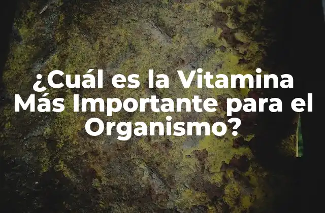 ¿cuál es la Vitamina Más Importante para el Organismo?