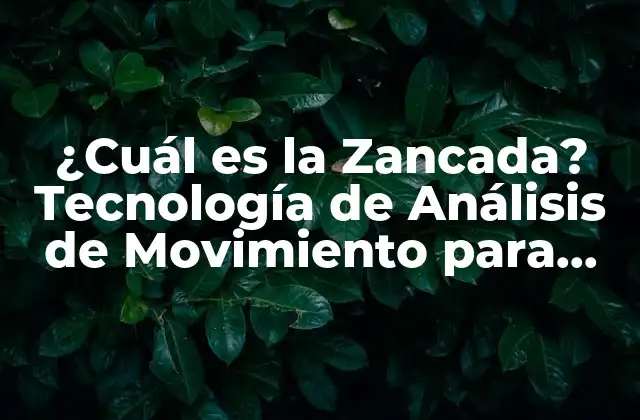 ¿cuál es la Zancada? Tecnología de Análisis de Movimiento para Deportistas
