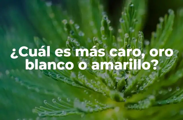 ¿cuál es Más Caro, Oro Blanco o Amarillo?