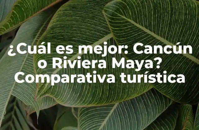 Cancún: la ciudad de los resortes y la vida nocturna