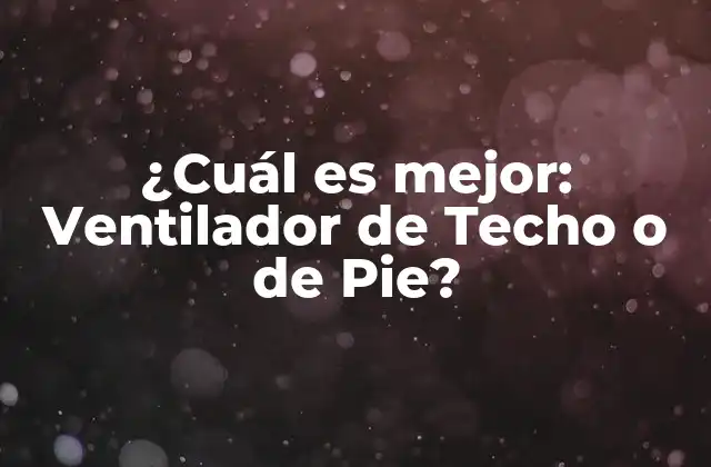 ¿cuál es Mejor: Ventilador de Techo o de Pie?
