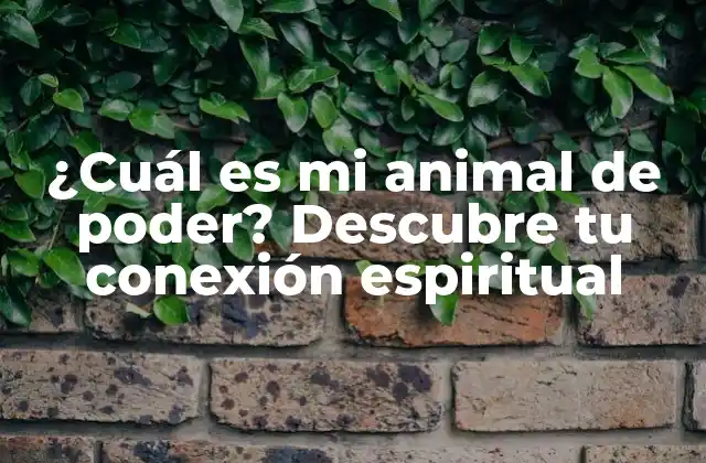 ¿cuál es Mi Animal de Poder? Descubre Tu Conexión Espiritual