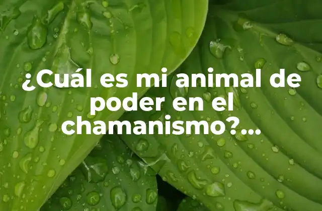 ¿cuál es Mi Animal de Poder en el Chamanismo? Descubre Tu Guía Espiritual