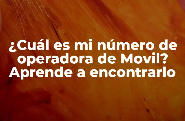 ¿Por qué es importante conocer mi número de operadora de Movil?