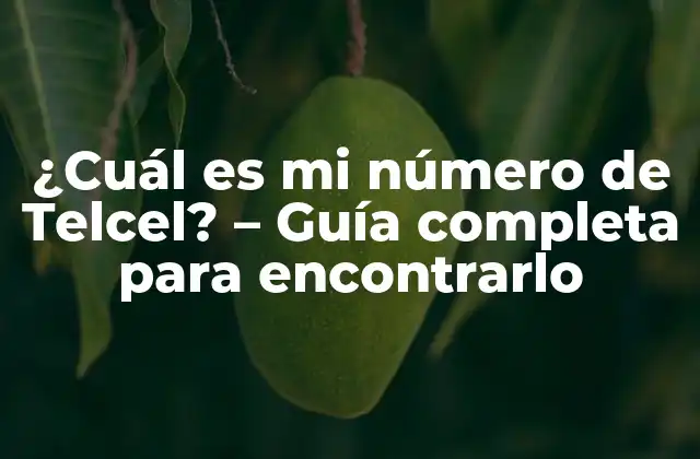 ¿cuál es Mi Número de Telcel? – Guía Completa para Encontrarlo