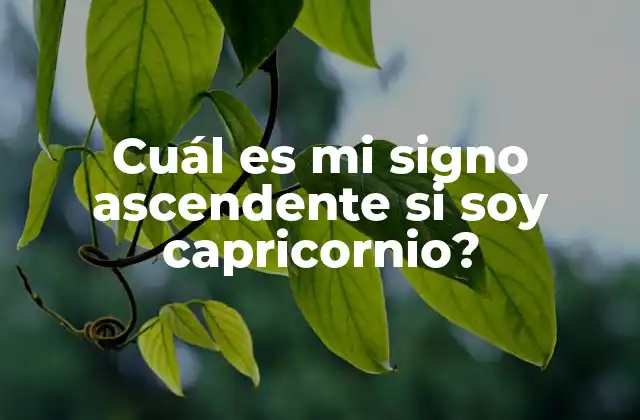 Cuál es Mi Signo Ascendente Si Soy Capricornio?