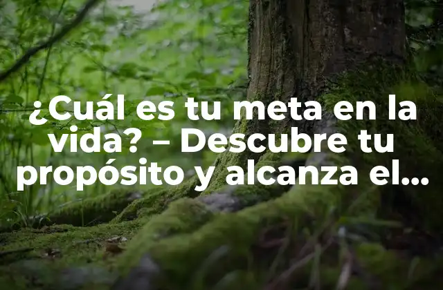 ¿cuál es Tu Meta en la Vida? – Descubre Tu Propósito y Alcanza el Éxito