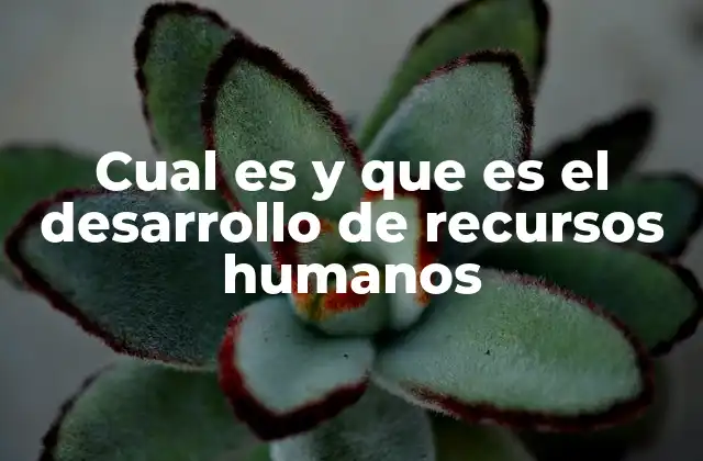 Cual es y que es el Desarrollo de Recursos Humanos