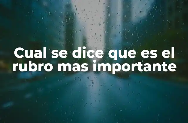 Cual Se Dice que es el Rubro mas Importante