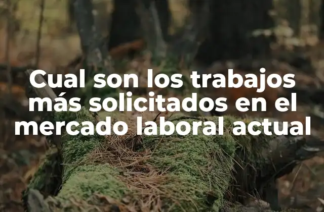 Cual Son los Trabajos Más Solicitados en el Mercado Laboral Actual