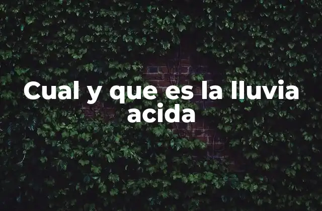 Cual y que es la Lluvia Acida