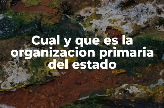 Cual y que es la Organizacion Primaria Del Estado