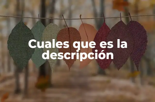 La importancia de la descripción en la comunicación efectiva