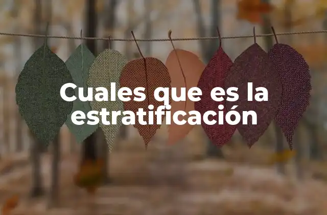 Cuales que es la Estratificación
