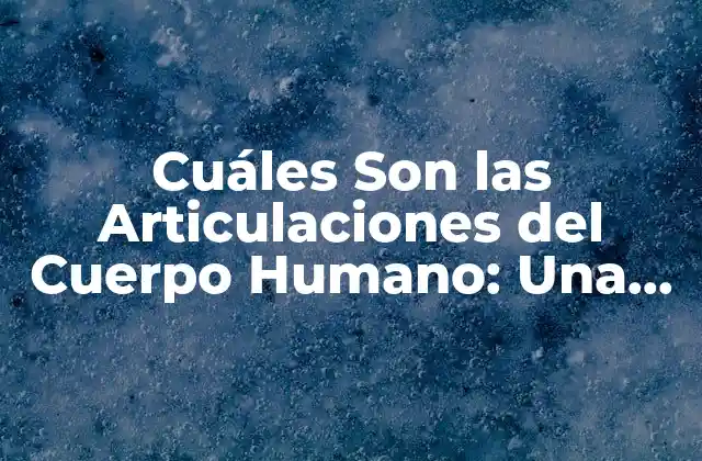 Cuáles Son las Articulaciones Del Cuerpo Humano: una Guía Detallada