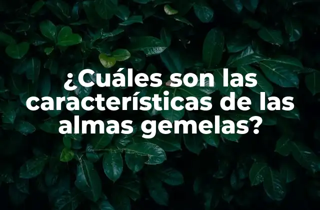 ¿cuáles Son las Características de las Almas Gemelas?