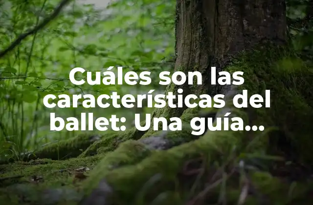 Cuáles Son las Características Del Ballet: una Guía Completa