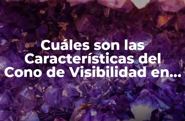 Cuáles Son las Características Del Cono de Visibilidad en Seguridad