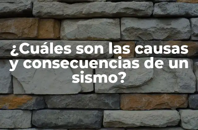 ¿cuáles Son las Causas y Consecuencias de un Sismo?