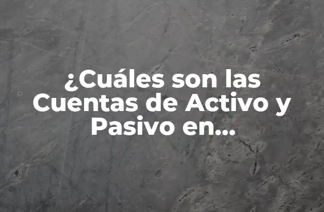 ¿cuáles Son las Cuentas de Activo y Pasivo en Contabilidad?