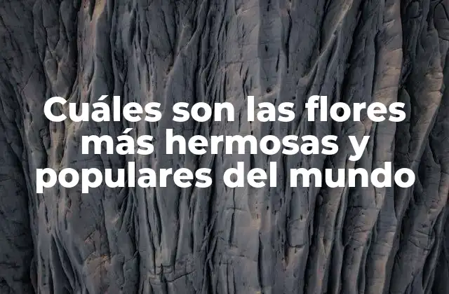 Cuáles Son las Flores Más Hermosas y Populares Del Mundo