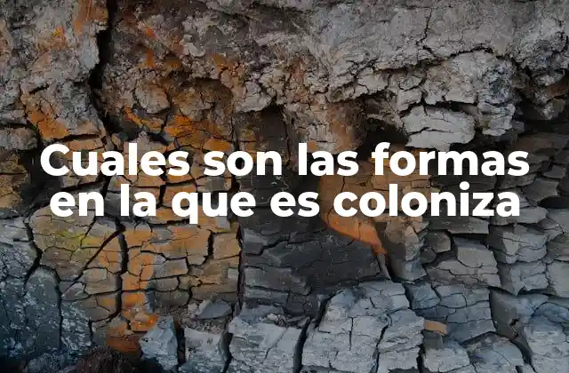 Cuales Son las Formas en la que es Coloniza