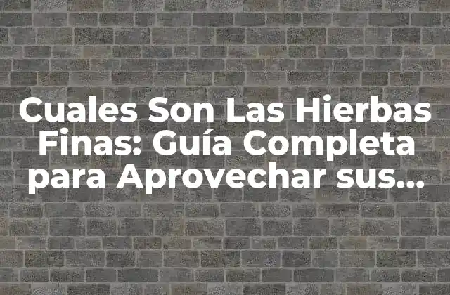 ¿Qué Son Las Hierbas Finas?