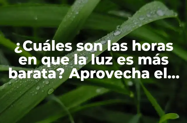 ¿cuáles Son las Horas en que la Luz es Más Barata? Aprovecha el Ahorro Energético