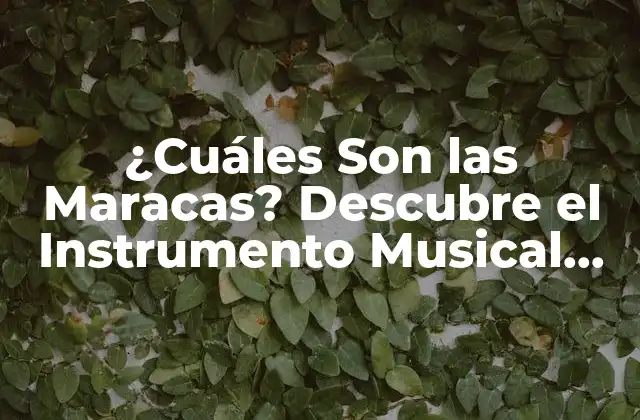 ¿cuáles Son las Maracas? Descubre el Instrumento Musical Más Energético