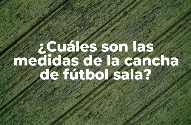 ¿cuáles Son las Medidas de la Cancha de Fútbol Sala?