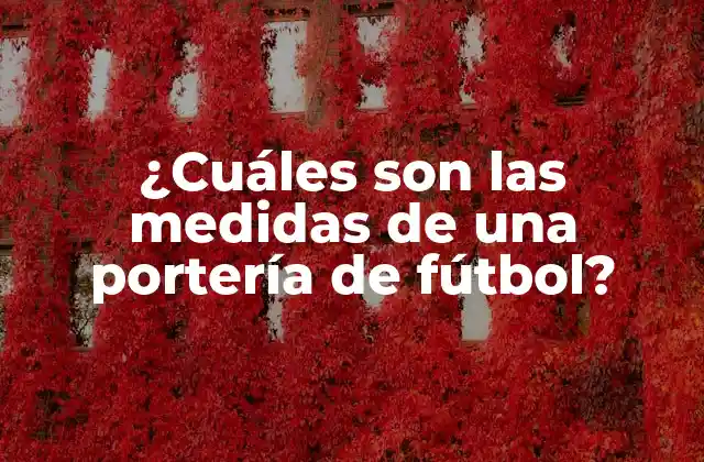 ¿cuáles Son las Medidas de una Portería de Fútbol?