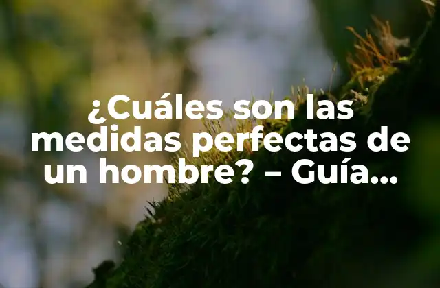 ¿cuáles Son las Medidas Perfectas de un Hombre? – Guía Completa sobre la Medidas Ideales Del Cuerpo Masculino