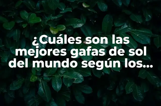 ¿cuáles Son las Mejores Gafas de Sol Del Mundo según los Expertos?