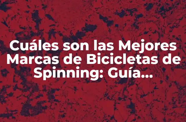 Cuáles Son las Mejores Marcas de Bicicletas de Spinning: Guía Completa