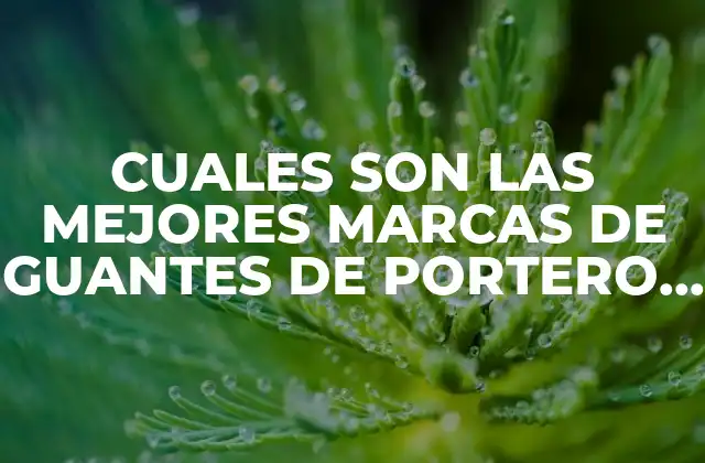 Cuales Son las Mejores Marcas de Guantes de Portero para Fútbol