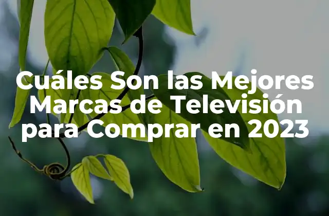 ¿Cuáles Son los Factores Clave para Elegir la Mejor Marca de Televisión?
