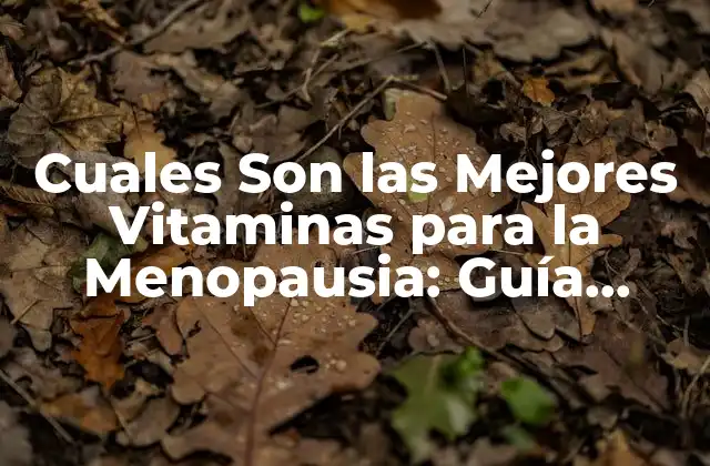 Cuales Son las Mejores Vitaminas para la Menopausia: Guía Completa