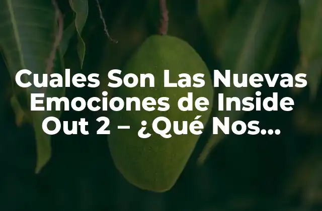 Cuales Son las Nuevas Emociones de Inside Out 2 – ¿qué Nos Espera en la Secuela de la Película?