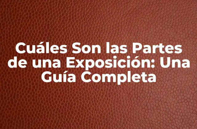 Cuáles Son las Partes de una Exposición: una Guía Completa